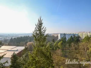 Pronájem bytu 1+kk, Brno, Halasovo náměstí, 23 m2