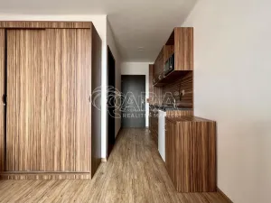 Pronájem bytu 1+kk, Brno, Křivánkovo náměstí, 21 m2