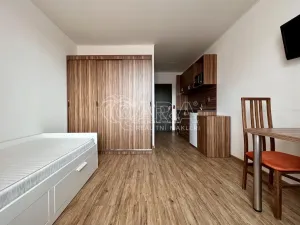 Pronájem bytu 1+kk, Brno, Křivánkovo náměstí, 21 m2