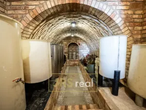 Prodej rodinného domu, Prušánky, Nechory, 145 m2