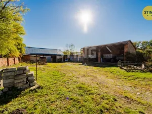 Prodej zemědělské usedlosti, Holasovice, 410 m2