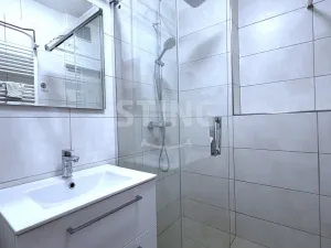 Pronájem bytu 2+1, Ostrava, Dvorní, 50 m2