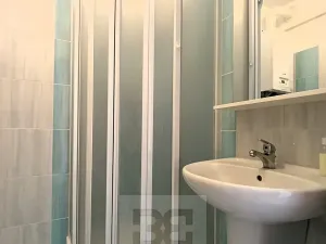 Pronájem bytu 1+kk, České Budějovice, Lipenská, 33 m2