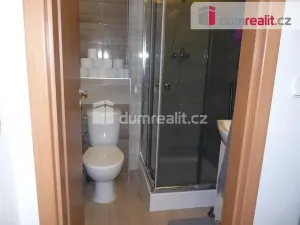 Pronájem bytu 2+kk, Starý Plzenec, Herejkova, 39 m2