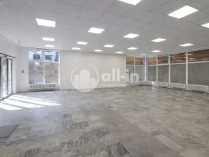 Pronájem obchodního prostoru, Vyškov - Brňany, Palánek, 252 m2