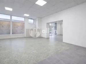 Pronájem obchodního prostoru, Vyškov - Brňany, Palánek, 252 m2