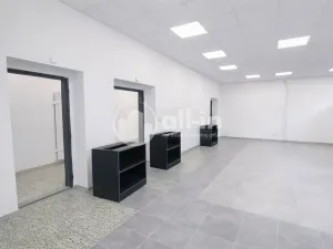 Pronájem obchodního prostoru, Vyškov - Brňany, Palánek, 252 m2