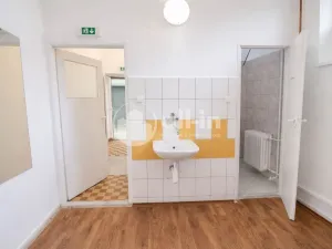 Pronájem obchodního prostoru, Vyškov - Brňany, Palánek, 252 m2