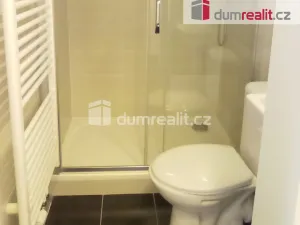 Pronájem bytu 1+kk, Praha - Dejvice, Stavitelská, 25 m2