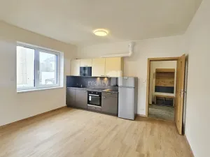 Pronájem bytu 1+kk, Kolín, Pražská, 39 m2