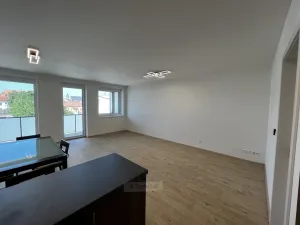Pronájem bytu 1+kk, České Budějovice, Chelčického, 47 m2