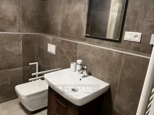 Pronájem bytu 1+kk, České Budějovice, Chelčického, 47 m2