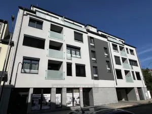 Pronájem bytu 1+kk, České Budějovice, Chelčického, 47 m2