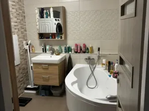 Prodej bytu 3+kk, Bílina - Teplické Předměstí, Čapkova, 55 m2