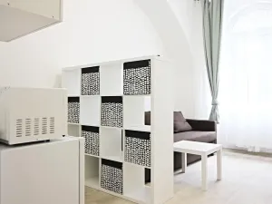 Pronájem bytu 1+kk, Brno, Koliště, 26 m2