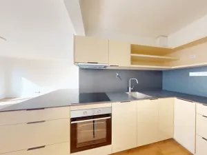 Pronájem bytu 1+kk, Ostrava - Moravská Ostrava, Sadová, 30 m2