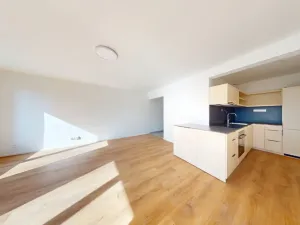 Pronájem bytu 1+kk, Ostrava - Moravská Ostrava, Sadová, 30 m2