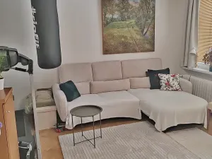 Prodej bytu 4+1, Liberec, Ostravská, 72 m2