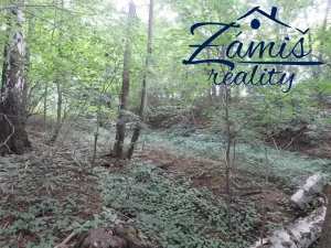 Prodej podílu lesa, Pohledy, 7200 m2