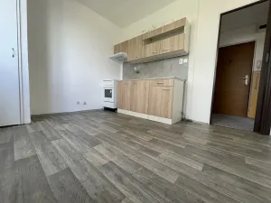 Pronájem bytu 1+1, Jihlava, Slavíčkova, 33 m2