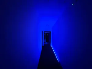 Pronájem obchodního prostoru, Praha - Nové Město, Václavské náměstí, 98 m2