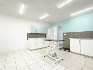 Pronájem ordinace, Mnichovo Hradiště, Masarykovo náměstí, 57 m2