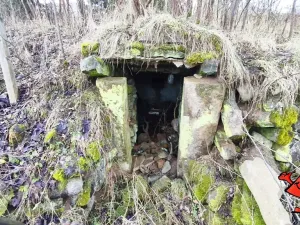 Prodej pozemku pro bydlení, Volfartice, 1372 m2