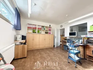 Prodej rodinného domu, Skršín, 524 m2