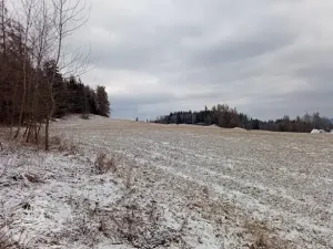 Dražba pole, Sušice, 4799 m2