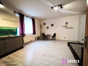 Pronájem bytu 1+kk, Praha - Libeň, Budilova, 39 m2