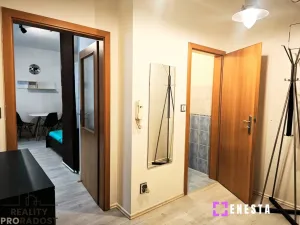Pronájem bytu 1+kk, Praha - Libeň, Budilova, 39 m2