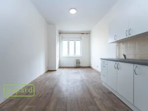 Pronájem bytu 1+1, Praha, Pod Drinopolem, 53 m2