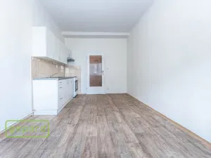 Pronájem bytu 1+1, Praha, Pod Drinopolem, 53 m2