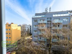 Pronájem bytu 1+1, Praha, Pod Drinopolem, 53 m2