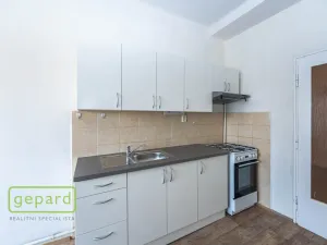 Pronájem bytu 1+1, Praha, Pod Drinopolem, 53 m2