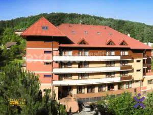 Prodej bytu 1+kk, Luhačovice, Solné, 44 m2