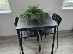 Pronájem bytu 2+kk, Plzeň, Lobezská, 46 m2