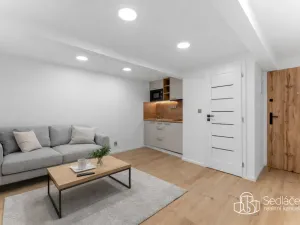 Prodej atypického bytu, Praha - Nusle, U Jezerky, 39 m2