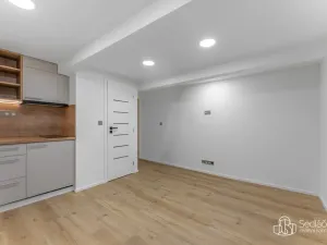 Prodej atypického bytu, Praha - Nusle, U Jezerky, 39 m2