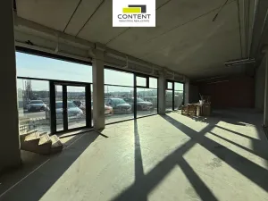 Pronájem skladu, Plzeň - Skvrňany, Ke Karlovu, 737 m2