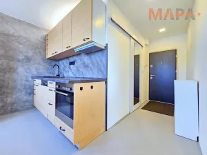 Prodej bytu 1+1, Chomutov, Písečná, 36 m2