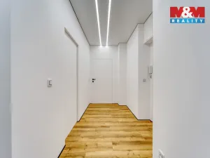 Prodej bytu 2+1, Plzeň - Východní Předměstí, Brojova, 56 m2