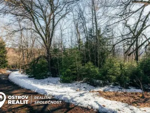 Prodej pozemku pro bydlení, Železná Ruda, 830 m2