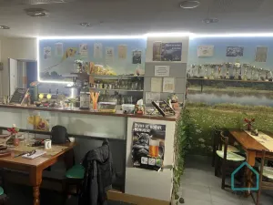 Pronájem restaurace, Město Albrechtice, Míru, 100 m2