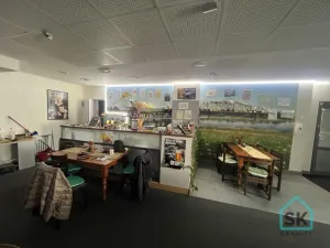 Pronájem restaurace, Město Albrechtice, Míru, 100 m2