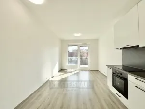 Pronájem bytu 1+kk, České Budějovice - České Budějovice 2, Na Zlaté stoce, 28 m2