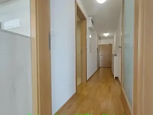 Pronájem bytu 1+kk, Praha - Žižkov, 38 m2