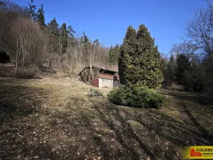 Prodej chaty, Borač, 50 m2