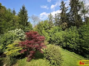 Prodej chaty, Borač, 50 m2
