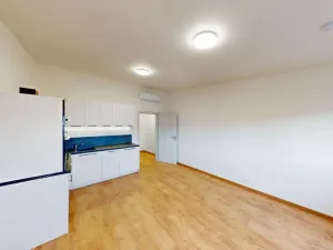 Pronájem bytu 1+kk, Praha - Břevnov, Na Petynce, 27 m2